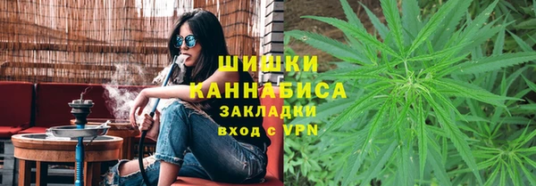 соль ск Алзамай