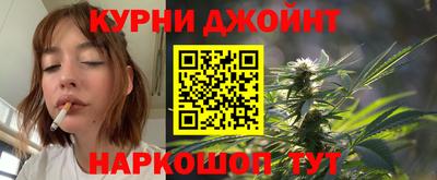 крисы Кулебаки