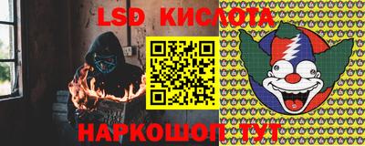 крисы Кулебаки