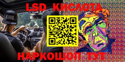 крисы Кулебаки