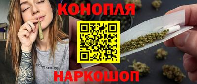 крисы Кулебаки