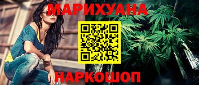 крисы Кулебаки