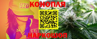 крисы Кулебаки