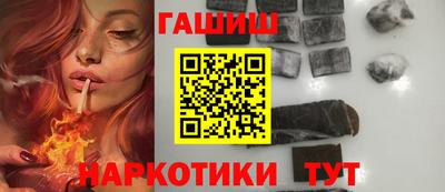 крисы Кулебаки