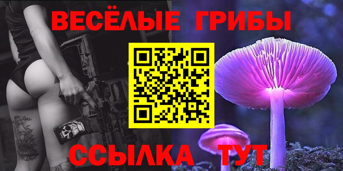 Псилоцибиновые грибы GOLDEN TEACHER  Вход с VPN  Рубцовск  Галлюциногенные грибы Psilocybine cubensis 